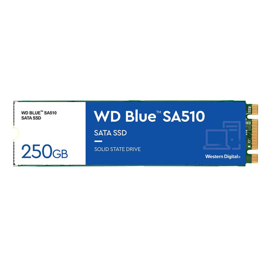 Hard Drive Western Digital WDS250G3B0B 1 TB 250 GB SSD