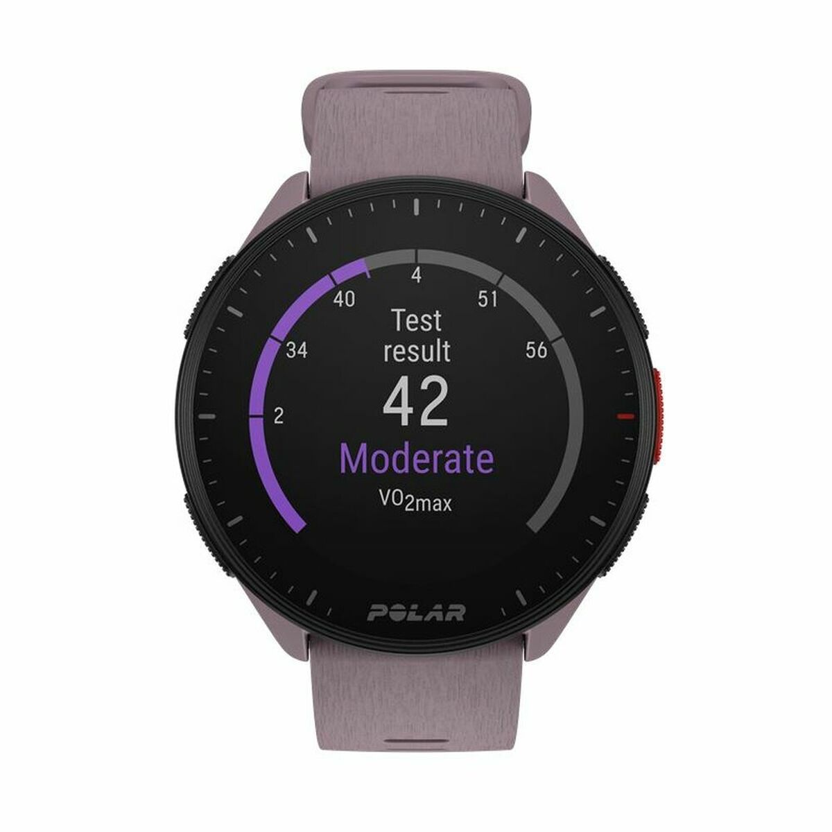 Smart Watch with Pedometer Running Polar Purple 1,2"