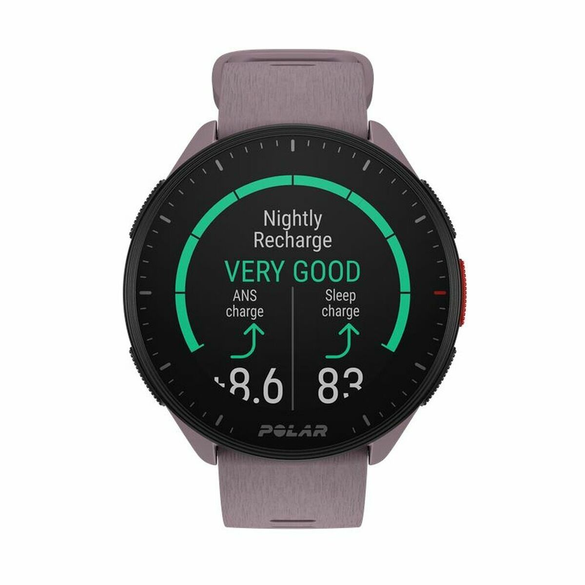 Smart Watch with Pedometer Running Polar Purple 1,2"