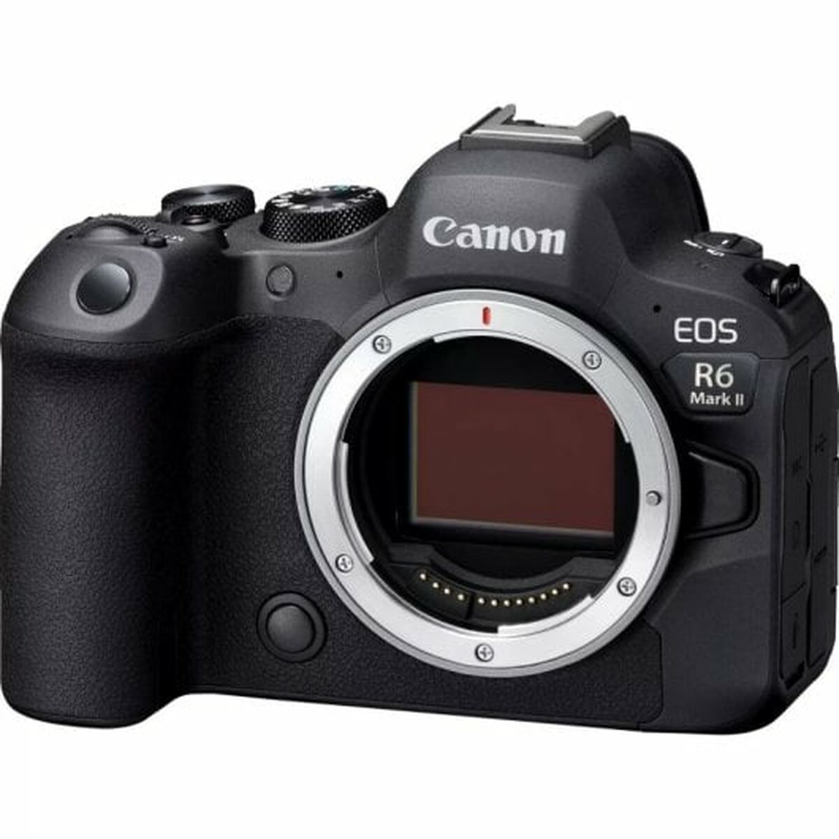 Photo camera Canon EOS R6 MARK II V5