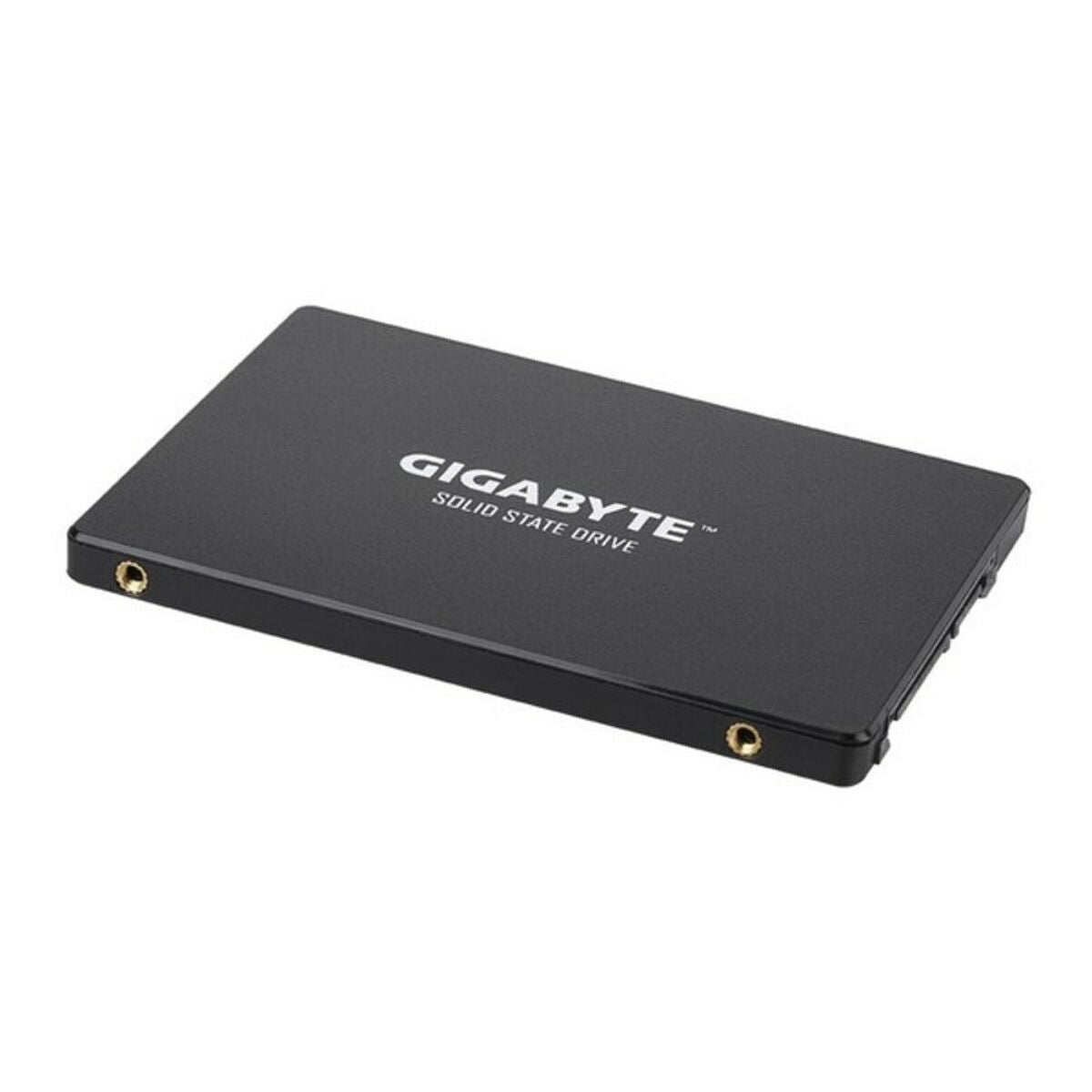 Hard Drive Gigabyte GP-GSTFS31256GTND 256 GB SSD