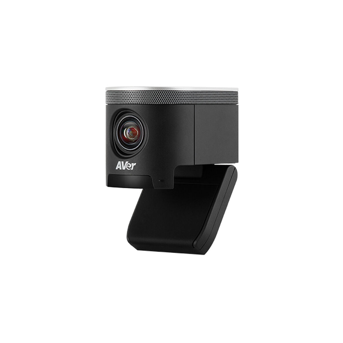 Webcam AVer 61U3100000AC