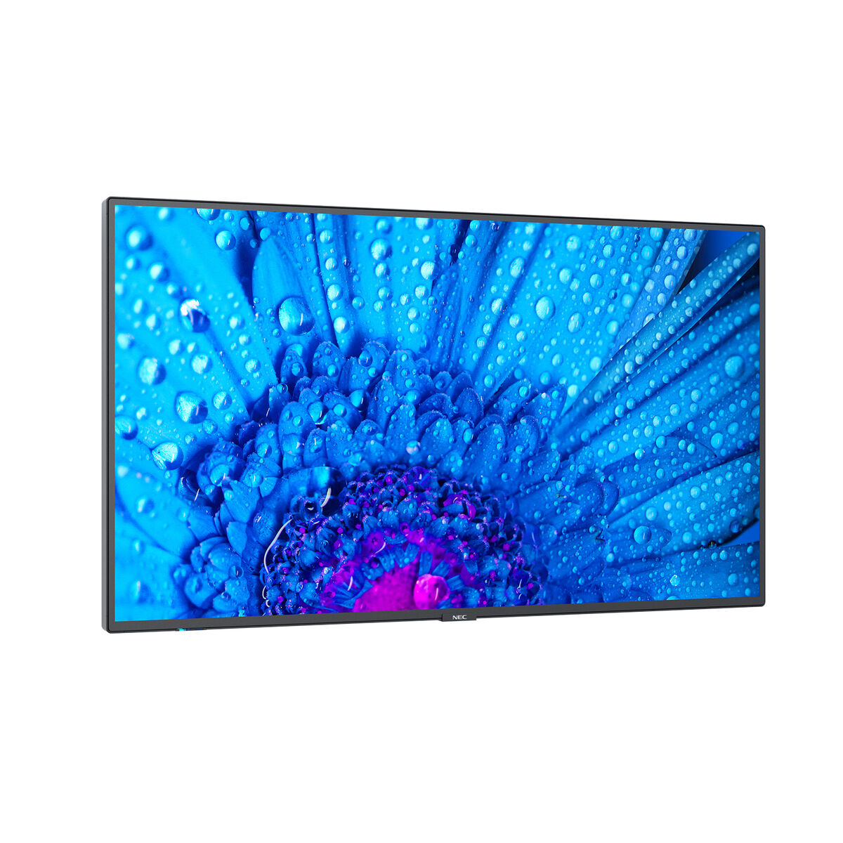 Monitor Videowall NEC M431 4K Ultra HD 43" 240 Hz 60 Hz